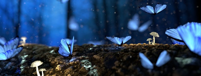 blue butterflies - magical as these time-saving techniques